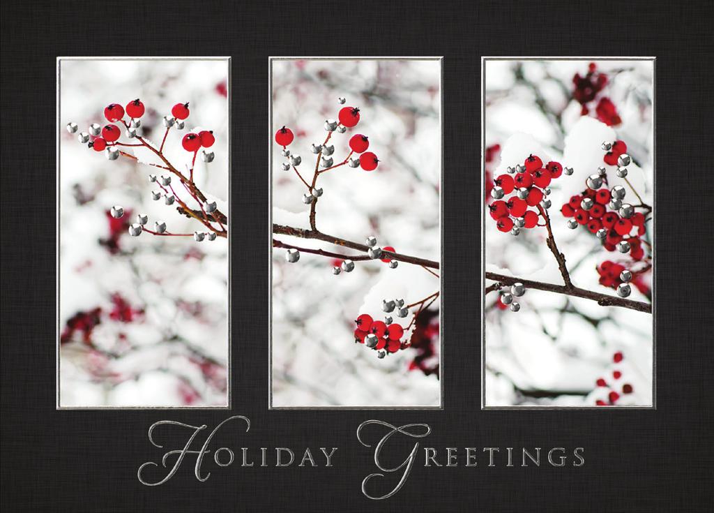 Stellar Snowflake Send holiday greetings with a card that shows a beautiful silver