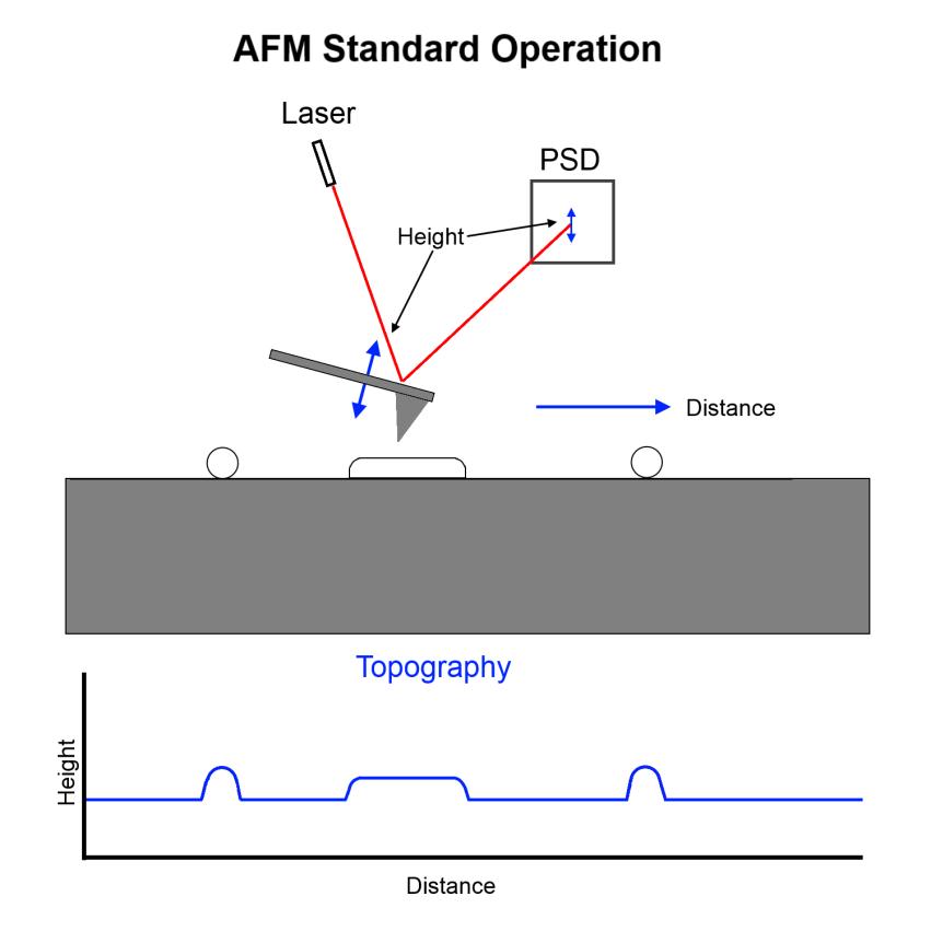 Figure 5: Contact mode operation of AFM. 2.3.1 ALTERNATING CURRENT AFM There are multiple modes of operation to the Atomic Force Microscope.