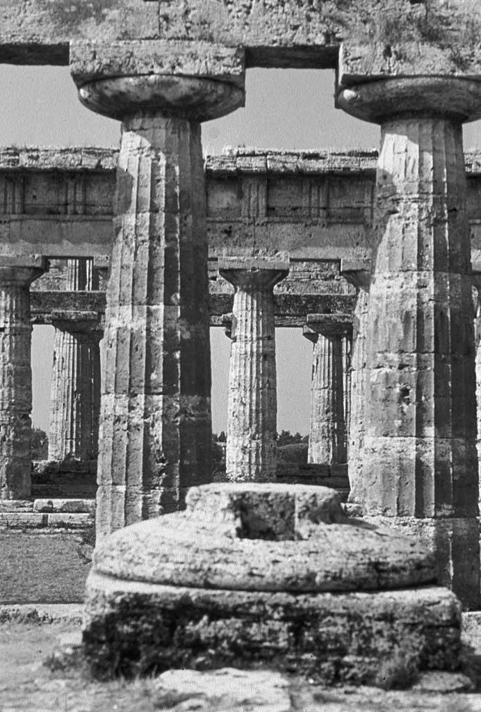 74. These columns are from what order: a. Doric b. Minoan c. Ionic d. Roman e. Etruscan 75.