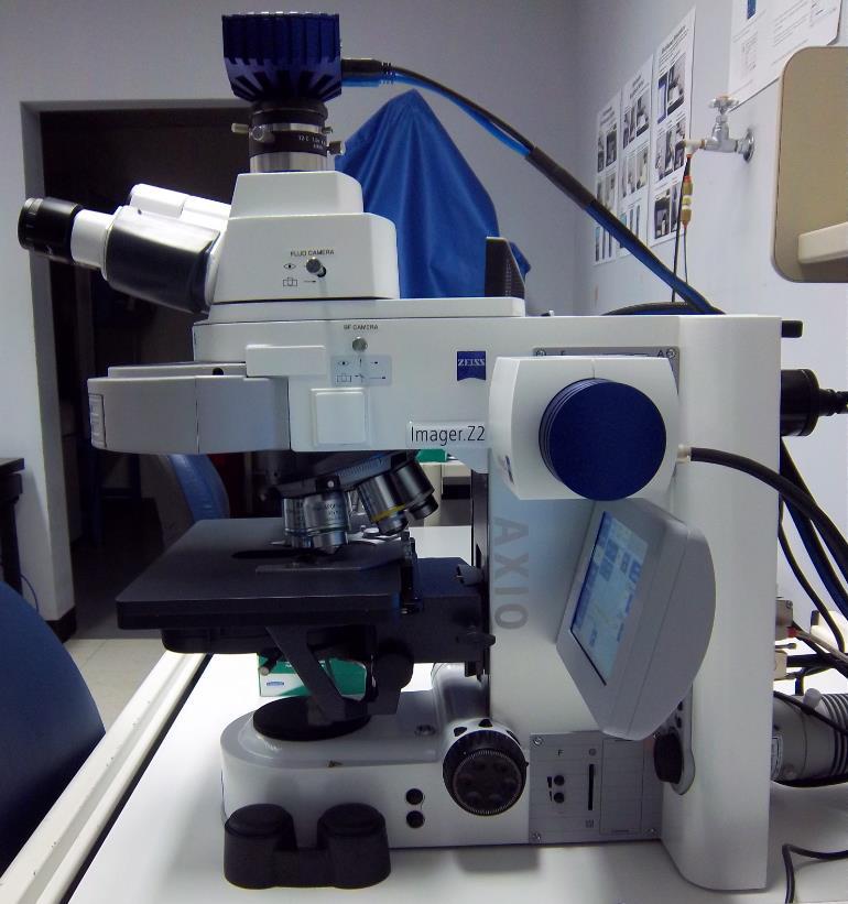 Zeiss AxioImager.Z2 Brightfield Protocol 1) System Startup Please note put sign-up policy.