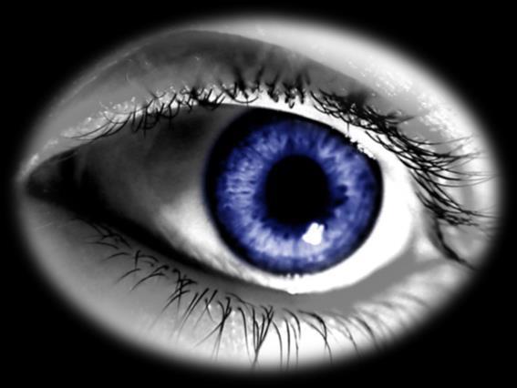 HUMAN VISION Human eyes do not see entire SPDs, only color and brightness.