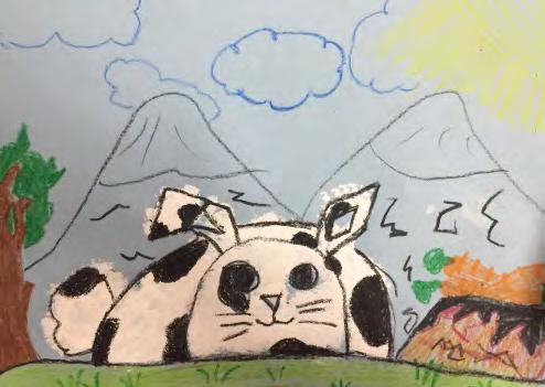 Spring Bunnies, by First Grade: First grade scholars learned about the