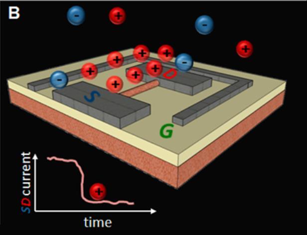 3. Silicon Nanowire Sensor Application
