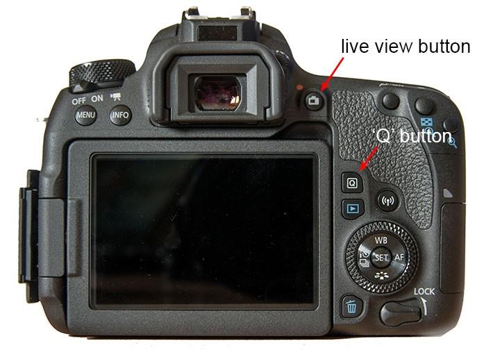 98 face detect AF in live view with this type of camera they need to be set up as described below.