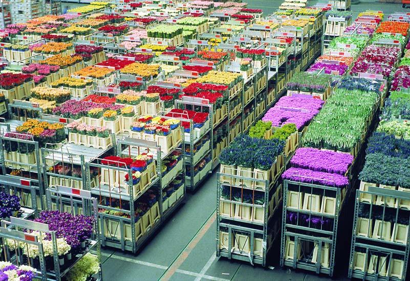 LF Applications General Applications life time ID security Holland flower auctions Over 200.