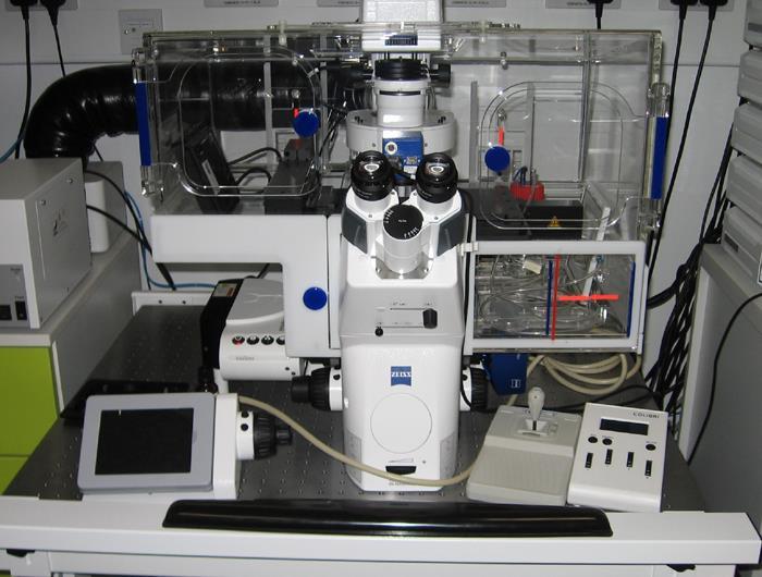 Imperial College London Facility for Imaging by Light Microscopy QUICKSTART GUIDE: WIDEFIELD HWF1 Zeiss Cell Observer Live Cell Imaging System (HAMMERSMITH, L BLOCK, ROOM 314) Observing Life As It