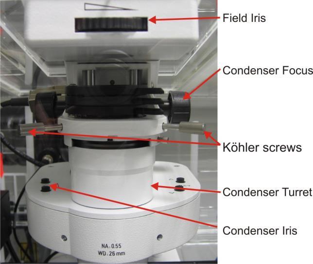 Adjusting brightfield Köhler illumination Select 10x objective either with the TFT touch screen or software you can move your specimen in xy-direction with the joystick, holding the button on top of