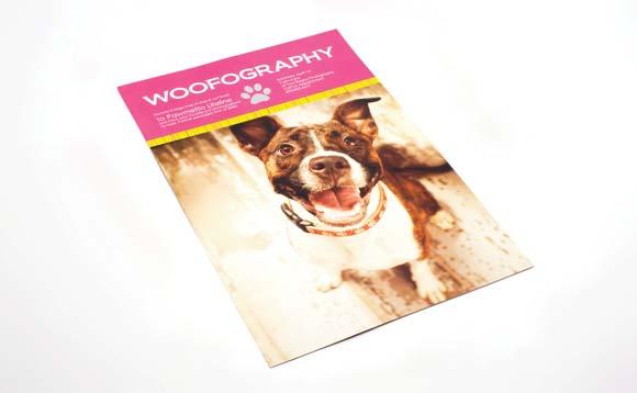 2x7 in size Smooth, Linen, and Pearl press papers available Posters Posters are a great way to