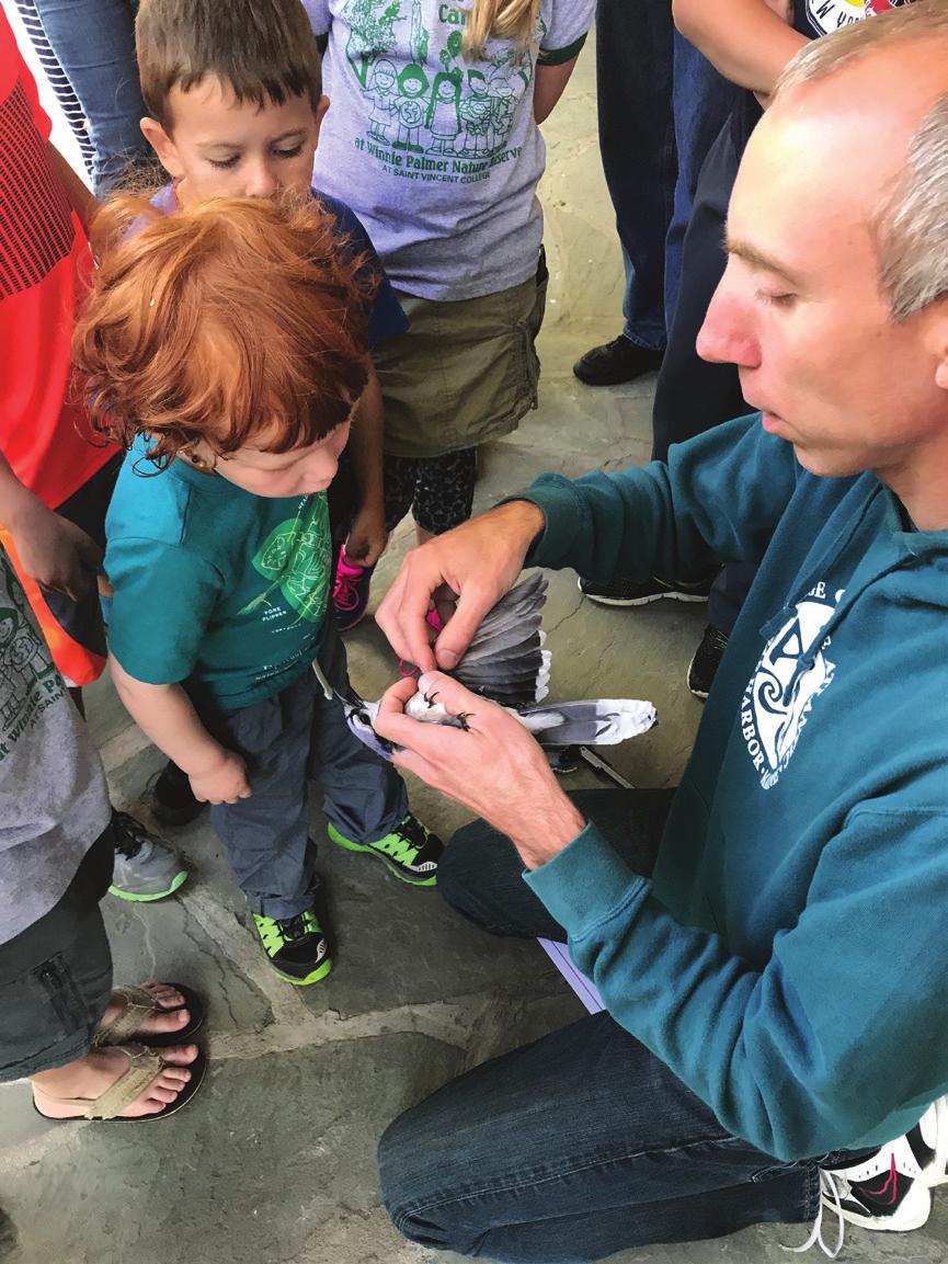 Kellam has held bird walks at WPNR every other Tuesday morning during spring semester for the Saint Vincent College Community, and spearheaded Bearcat Bird Nerds an undergraduate student group that