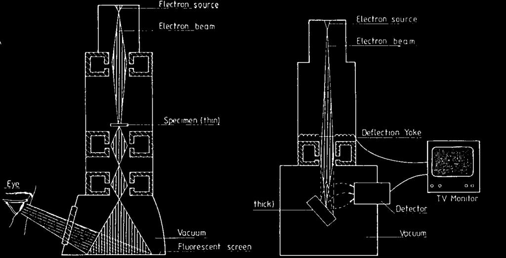 Components of an electron microscope Vacuum system!