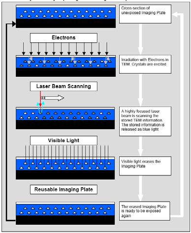 Electron detectors Imaging plates