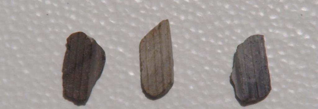 Figures 4 & 5 indicate the view of the top of the aggregate and side view, respectively that were plucked from the pavement during the NGCS grinding operation.
