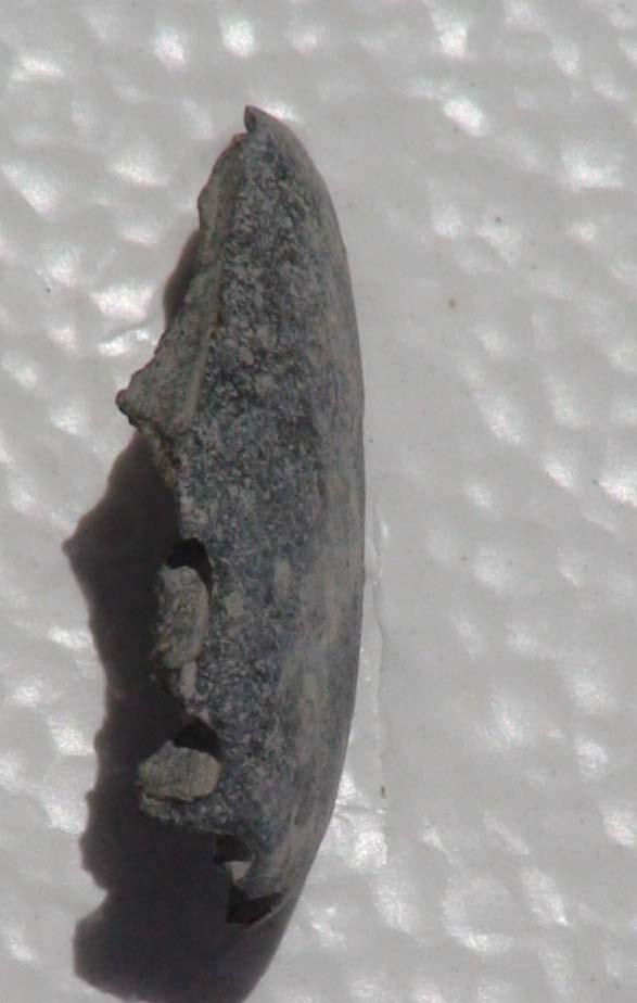 Figure 9 Side View of Aggregate Plucked