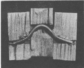 In failure mode 3 four yield hinges are formed within the dowel, two in the middle member and one in each outer part. Figures 4 and 5 show examples of K.W.