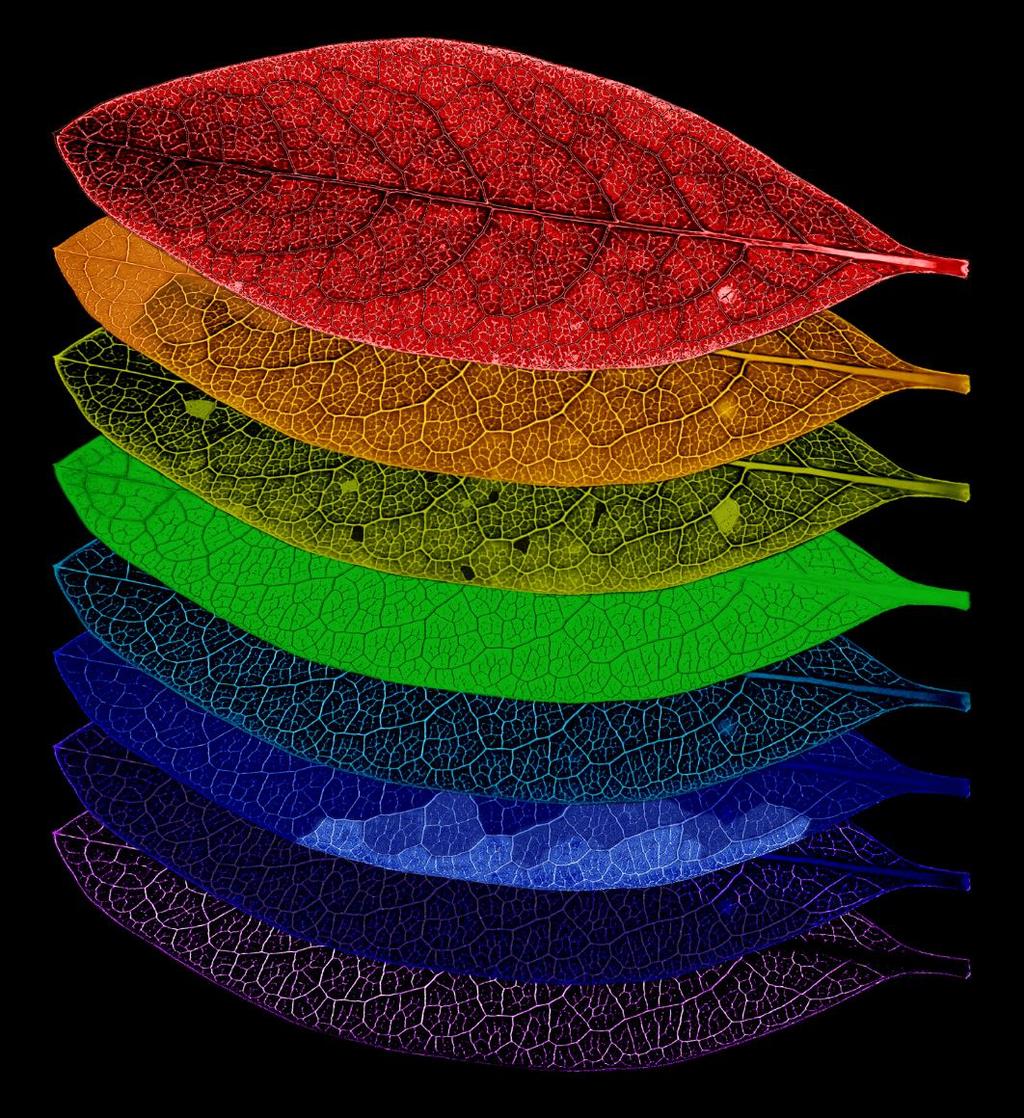 WHY DO WE NEED HYPERSPECTRAL IMAGING?