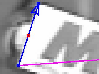 pixel size is displayed 8 measure distances in the image by creating new lines Figure 2.5: Calibrating the size of a pixel. 8 Now, you can measure distances in the image by creating new lines.
