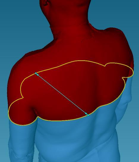 plane across the chest at the deltoid section