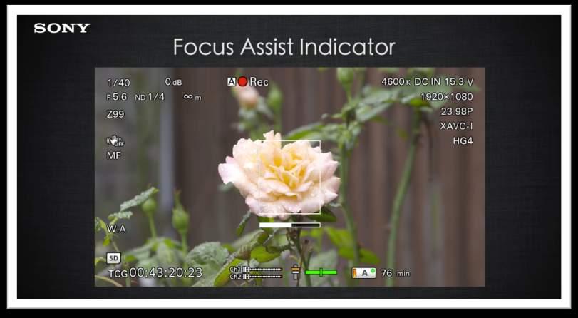 Focus Aids Continued Focus Assist indicator As the shot comes into focus the graph will start to fill from the right but will never go all the way. Aim for about ½ to 2/3 full for a sharp image.