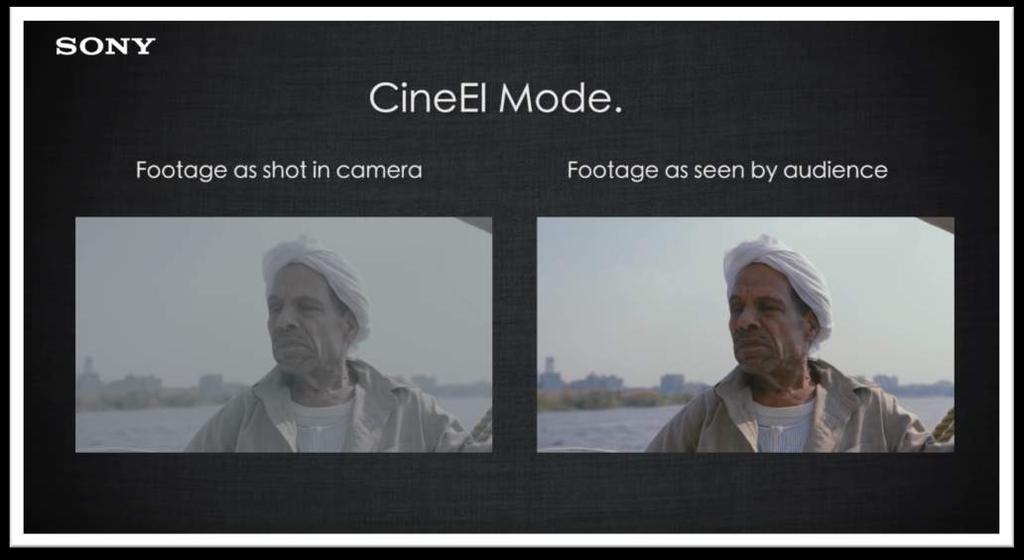 CineEI Mode This mode captures everything the camera can see. When viewed on a normal monitor the images look flat and washed out. All images shot using CineEI will need to be graded in post.