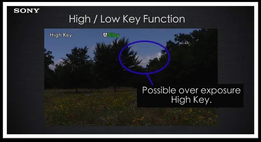 High and Low Key Functions The MLUT cannot show you everything that the camera is seeing, the camera is recording 14 stops of dynamic range where the MLUT can
