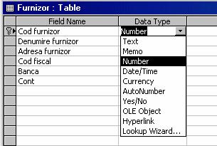 Modulul 5. BAZE DE DATE. UTILIZAREA APLICAŢIEI MICROSOFT ACCESS La definirea câmpurilor unui tabel, Microsoft Access permite folosirea mai multor cuvinte (Numar factura).