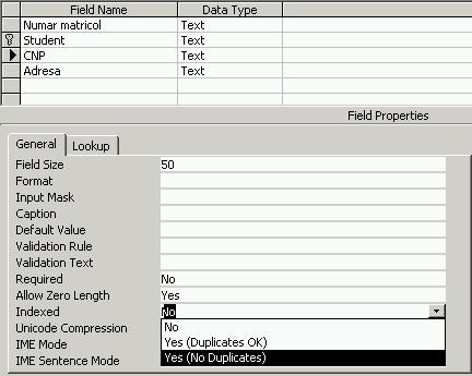 Crearea unui index se face foarte uşor din fereastra de proiectare a tabelei, când la secţiunea General la proprietatea Indexed se alege opţiunea Yes (No Duplicates) sau Yes (Duplicate OK).
