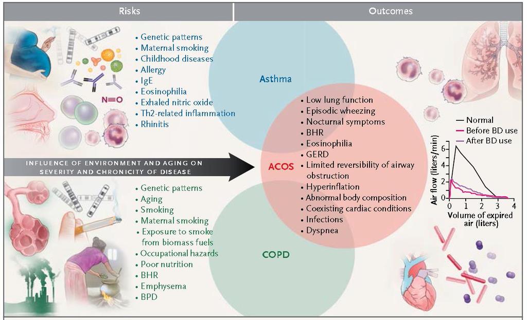 Nguyên nhân, sinh bệnh học và GPB của COPD