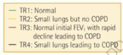 Lung growth CHƯƠNG and development 1.