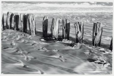 EXPERT VIEW UMIT ULGEN The total absence of colour is the secret to the success of this image, which works thanks to the patterns and texture of the water and the posts.