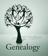 The Main Library s Genealogy collection