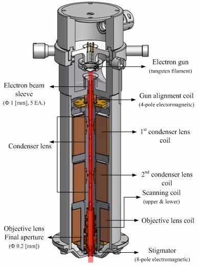 The structure and principle of SEMs are similar to optical microscopes.