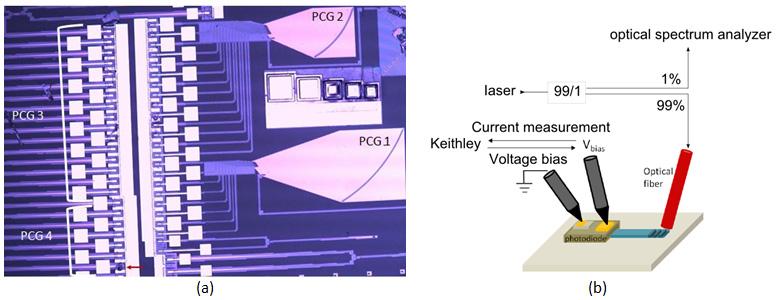 4. Spectrometer performance 5 μm Fig. 5. (a) Microscope picture showing the integrated photodiode array on top of the planar concave gratings. Only the PCGs with center wavelength of 1.55 μm and 1.