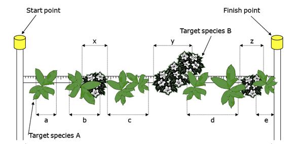 Figure 2. Example sampling transect. Note that target species can overlap cover on the transect.