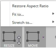 Resize* Used to affect the size of the selected Overlay. Restore Aspect Ratio Reverts an Overlay back to it s original size and proportion.
