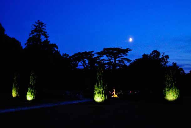 Yew Tree Up-lighting Beyond the West Terrace the garden area at Hengrave is completely dark after dusk, but this