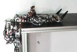 Kim, "Development of a multi-body wall climbing robot with tracked wheel mechanism," In Proc.