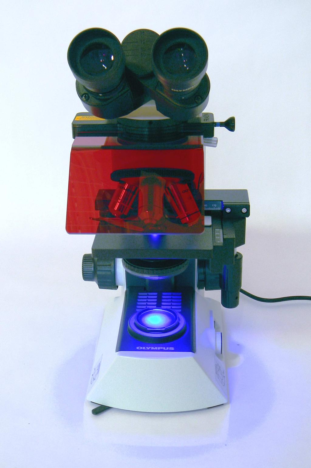 FLUOLED 21 the plug-and- play microscope for TB (Mycobacterium tuberculosis), based on Olympus CX 21 microscope With fully integrated Royal Blue and White LED illumination (long life light emitting