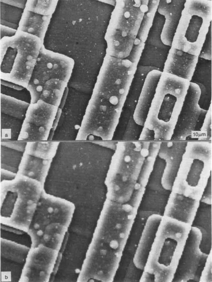 E. Oho and K. Kanaya: Utility of on-line digital image recording 143 example of the printout image (512 x 512 pixels, 64 grey levels), an SEM image of a biological sample is shown in Figure 2.