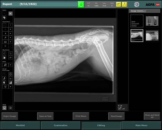 The DiRex-SP Digital Veterinary System, features the CR30-ORACLE CR technology.