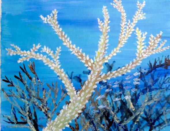Staghorn Coral Acropora cervicornis Staghorn Coral by Jacqui Stanley 2010 Activity Summary In this lesson students will learn about the importance of staghorn corals and their part in building the