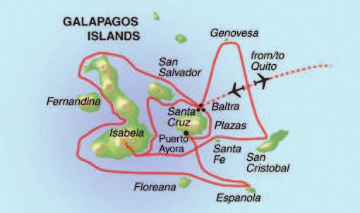 Galapagos and are happy to spend two weeks on a small boat in order to see as much as possible.