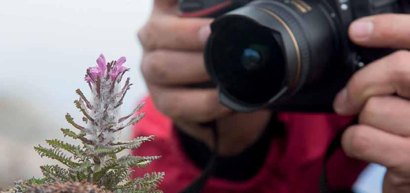 Photo Workshop Make better pictures on your trip Photo tips from Oceanwide Expeditions Protect your gear During your trip in the Arctic or Antarctic you and your camera equipment will be exposed to a