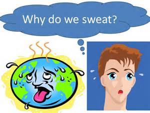 Why do we Perspire (sweat)?