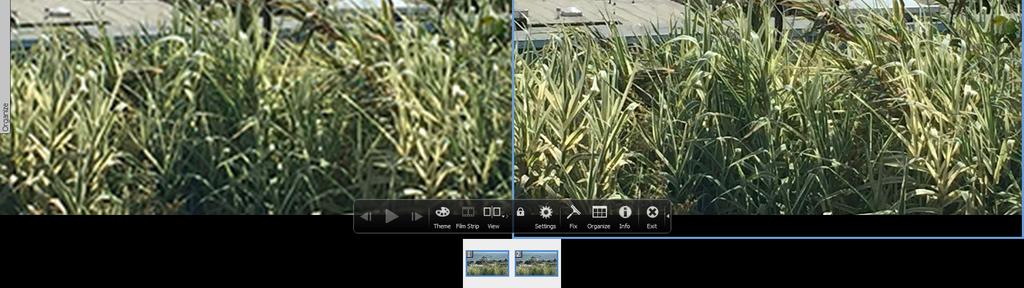 upsample an image to 300 ppi in PSE 15 prior to sending the file to the printer.
