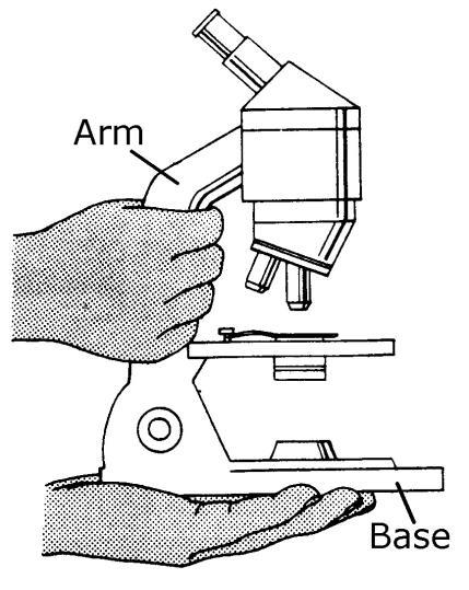 The microscope is an expensive precision instrument. When removing the microscope from the storage area, always grasp it with both hands.