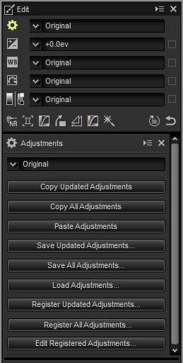 Copying Adjustments The Adjustment Manager Tool The adjustment manager can be used to apply multiple adjustments simultaneously.