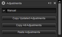 Copying Adjustments 4 Click the adjustment manager icon and select Paste Adjustments from the options in the adjustment palette.