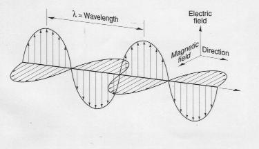 Electromagnetic Waves: Polarization Direction of the