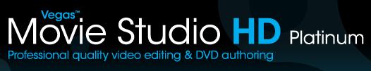 A. Software The best relatively inexpensive video software is Pinnacle Studio 14 and Sony Vegas Movie Studio HD Platinum 10.