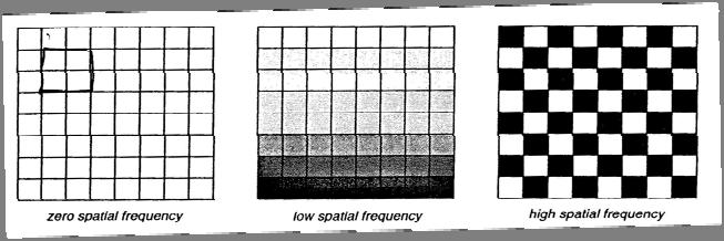 Spatial Enhancement While radiometric enhancements operate on each pixel individually, spatial enhancement modifies pixel values based on the values of surrounding pixels.